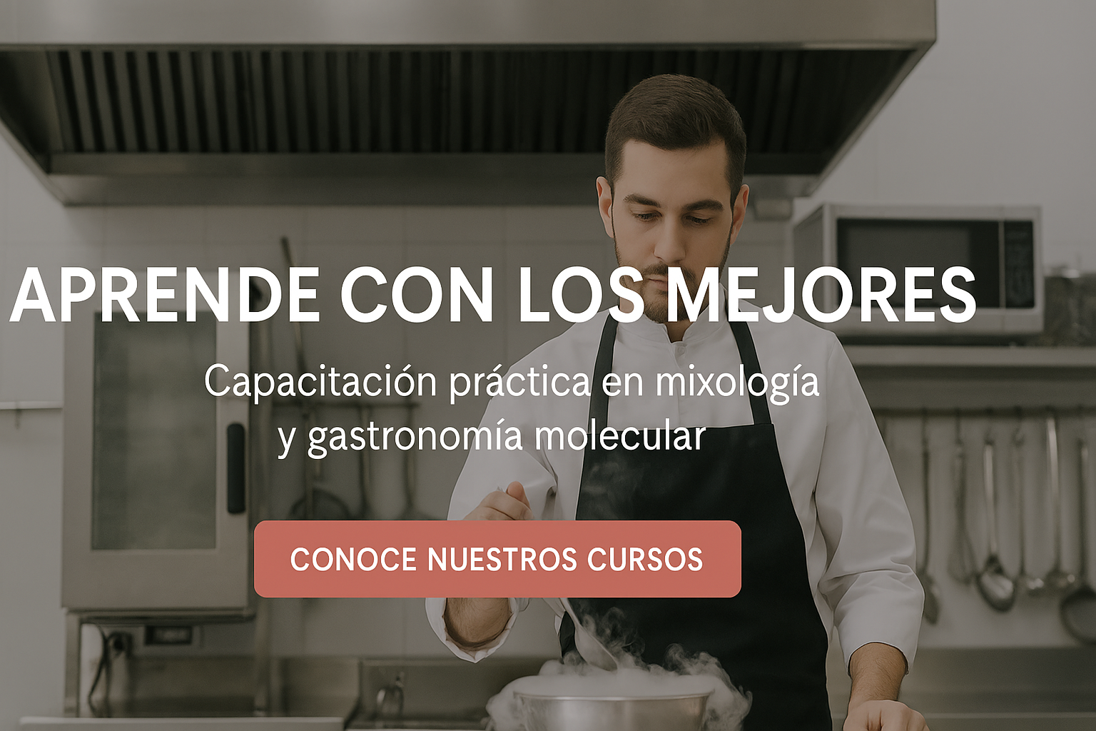 Conoce nuestros cursos